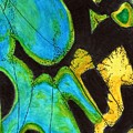 Malachite